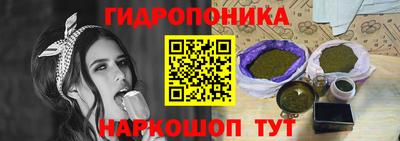 прущие грибы Гусиноозёрск