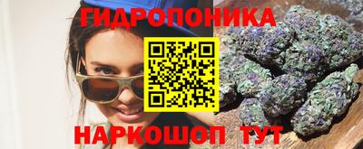 прущие грибы Гусиноозёрск