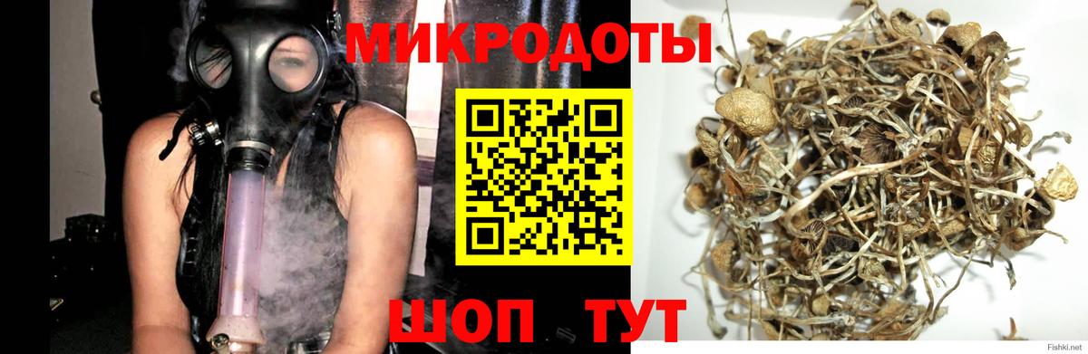 Псилоцибиновые грибы Magic Shrooms  Вход с VPN  Галлюциногенные грибы Psilocybe  Мурманск 